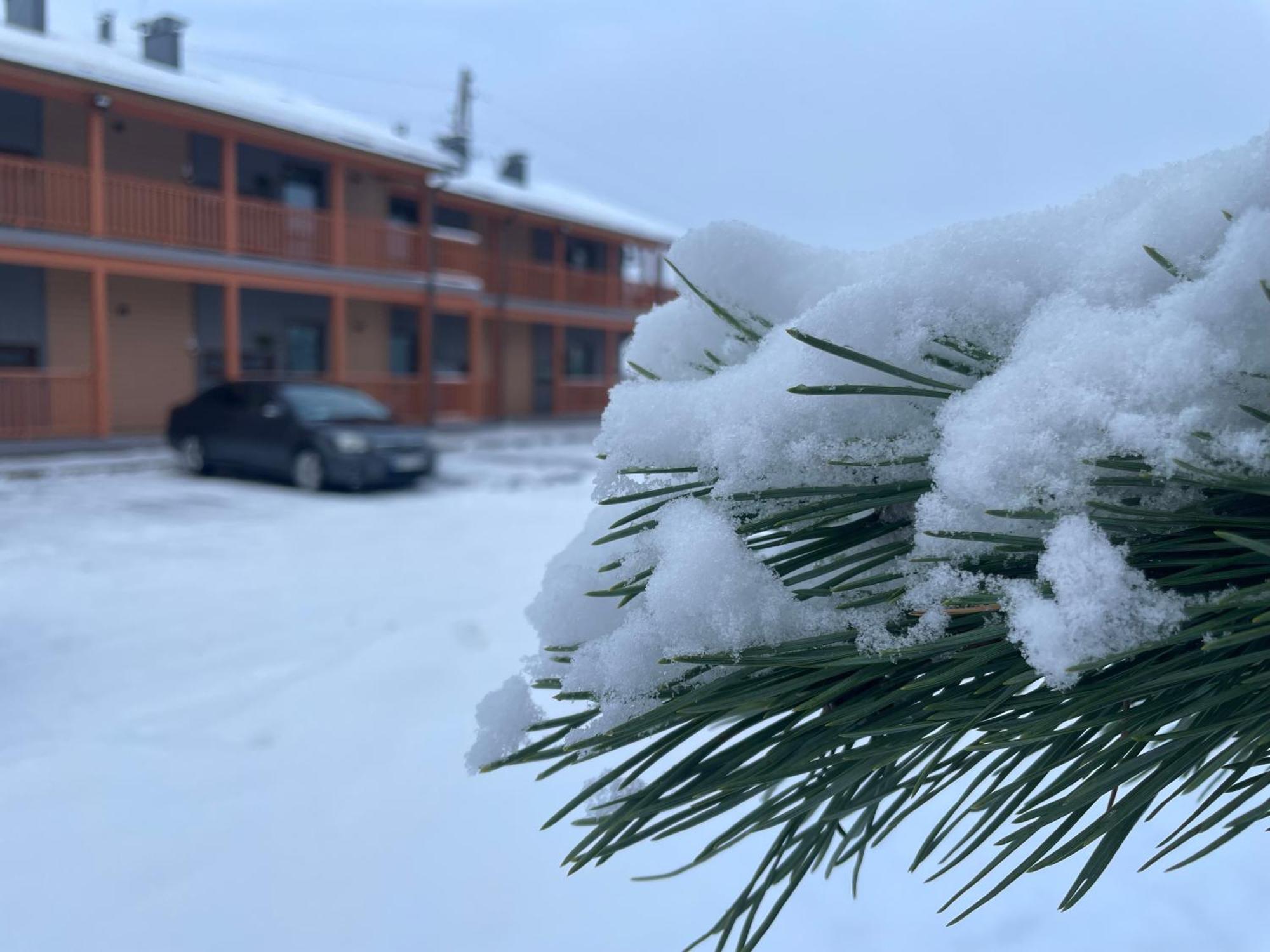Bestes Apartamenti Koceni Εξωτερικό φωτογραφία