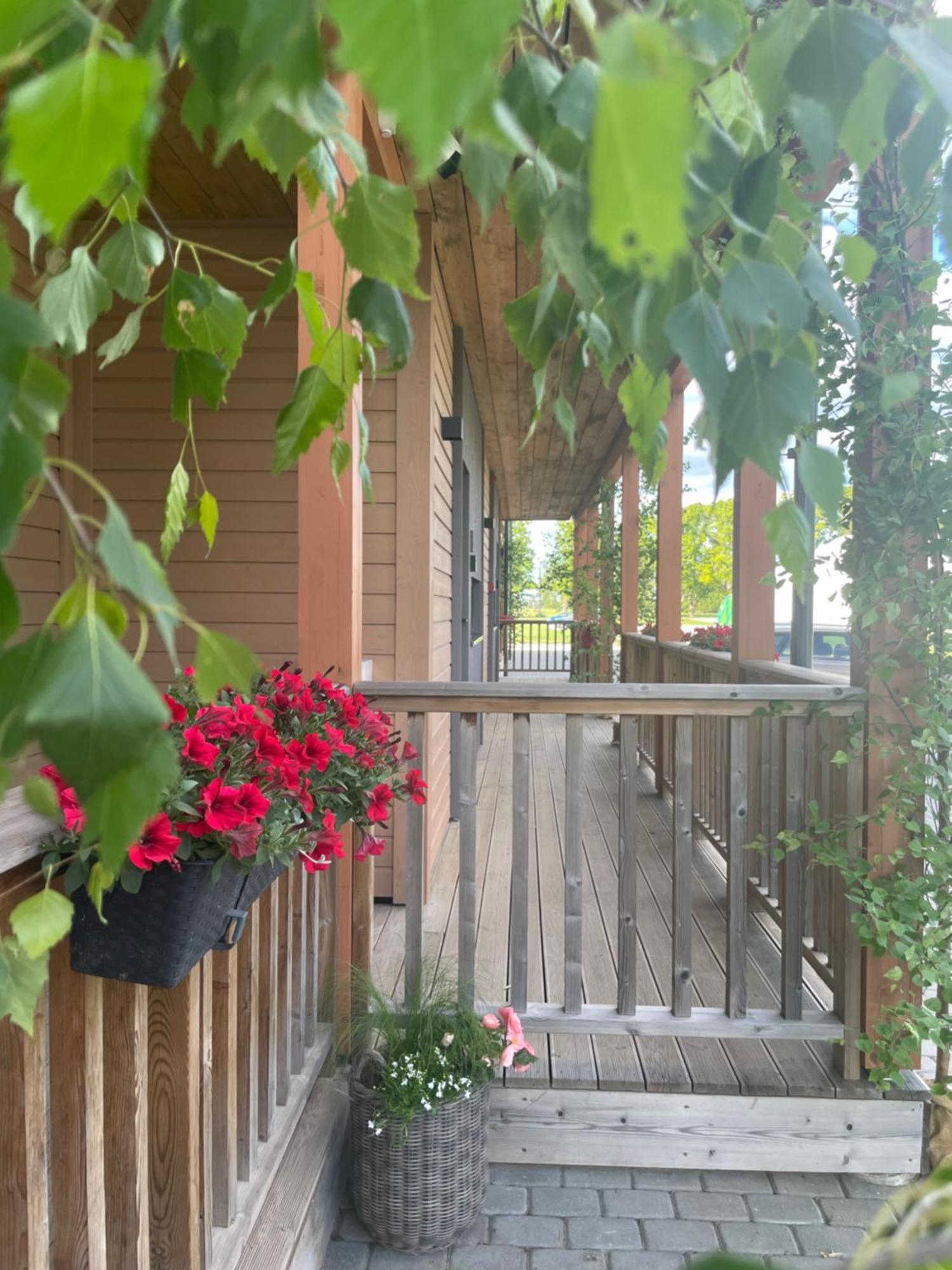 Bestes Apartamenti Koceni Εξωτερικό φωτογραφία